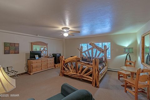 Tiny photo for 1 Main Street, Greer, AZ 85927 (MLS # 258299)