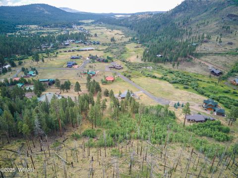 Tiny photo for 1 Main Street, Greer, AZ 85927 (MLS # 258299)