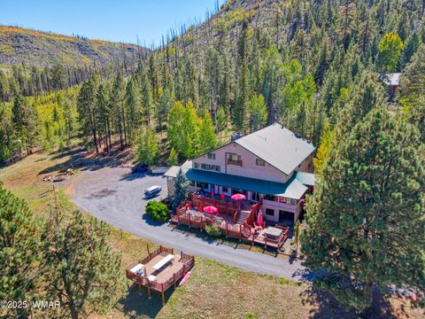 Tiny photo for 1 Main Street, Greer, AZ 85927 (MLS # 258299)
