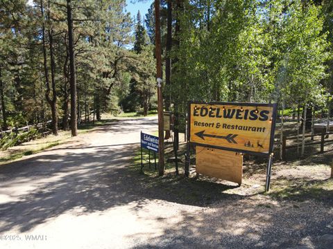Tiny photo for 1 Main Street, Greer, AZ 85927 (MLS # 258299)