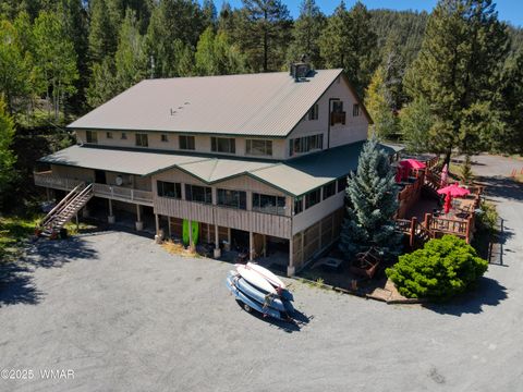 Tiny photo for 1 Main Street, Greer, AZ 85927 (MLS # 258299)