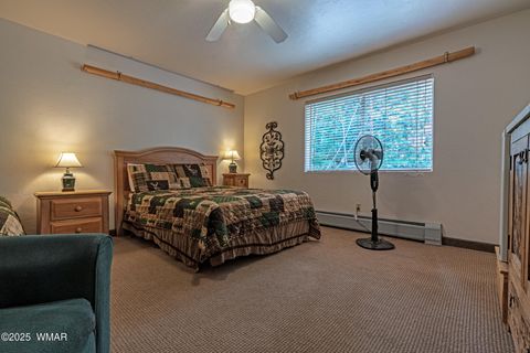 Tiny photo for 1 Main Street, Greer, AZ 85927 (MLS # 258299)