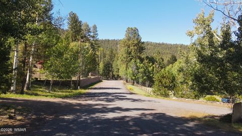 Photo of 1 Main Street, Greer, AZ 85927 (MLS # 258299)