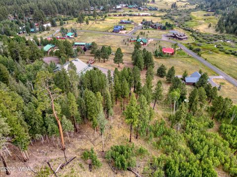 Tiny photo for 1 Main Street, Greer, AZ 85927 (MLS # 258299)