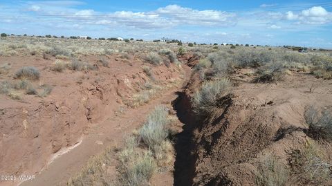 Tiny photo for 5280 Concho Ocho Road, Snowflake, AZ 85937 (MLS # 258540)