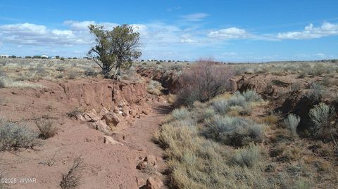 Tiny photo for 5280 Concho Ocho Road, Snowflake, AZ 85937 (MLS # 258540)