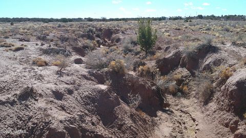 Tiny photo for 5280 Concho Ocho Road, Snowflake, AZ 85937 (MLS # 258540)