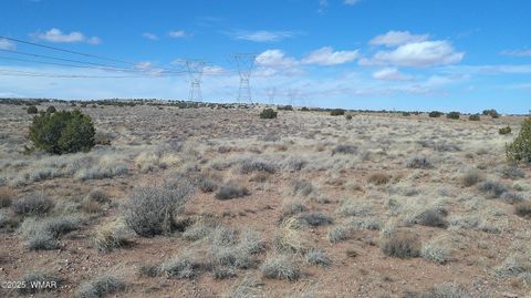 Tiny photo for 5280 Concho Ocho Road, Snowflake, AZ 85937 (MLS # 258540)