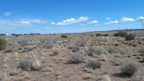 Tiny photo for 5280 Concho Ocho Road, Snowflake, AZ 85937 (MLS # 258540)