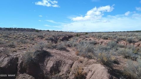 Tiny photo for 5280 Concho Ocho Road, Snowflake, AZ 85937 (MLS # 258540)