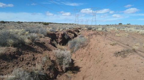 Tiny photo for 5280 Concho Ocho Road, Snowflake, AZ 85937 (MLS # 258540)