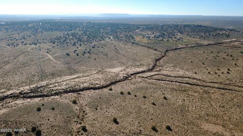 Tiny photo for 5280 Concho Ocho Road, Snowflake, AZ 85937 (MLS # 258540)