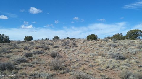 Tiny photo for 5280 Concho Ocho Road, Snowflake, AZ 85937 (MLS # 258540)