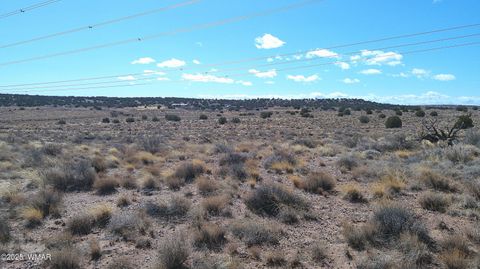 Tiny photo for 5280 Concho Ocho Road, Snowflake, AZ 85937 (MLS # 258540)