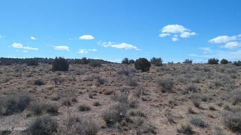 Tiny photo for 5280 Concho Ocho Road, Snowflake, AZ 85937 (MLS # 258540)