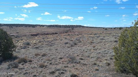 Tiny photo for 5280 Concho Ocho Road, Snowflake, AZ 85937 (MLS # 258540)