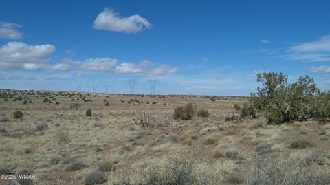 Tiny photo for 5280 Concho Ocho Road, Snowflake, AZ 85937 (MLS # 258540)