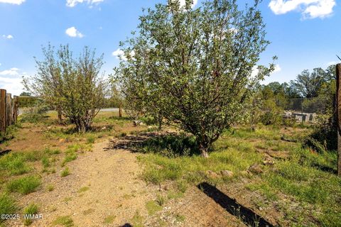 Tiny photo for 70 N 3077, Vernon, AZ 85940 (MLS # 258226)