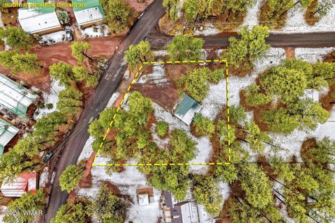 Tiny photo for 41 N Main Street, Greer, AZ 85927 (MLS # 259857)