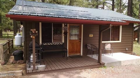 Photo of 41 N Main Street, Greer, AZ 85927 (MLS # 259857)