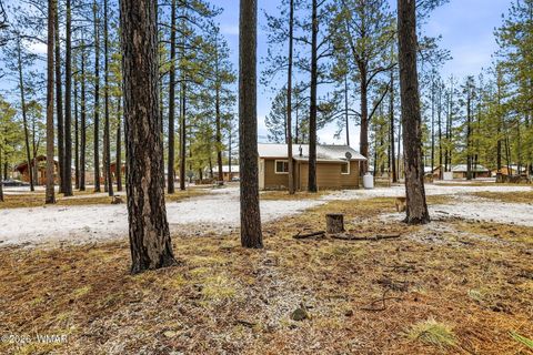 Tiny photo for 41 N Main Street, Greer, AZ 85927 (MLS # 259857)