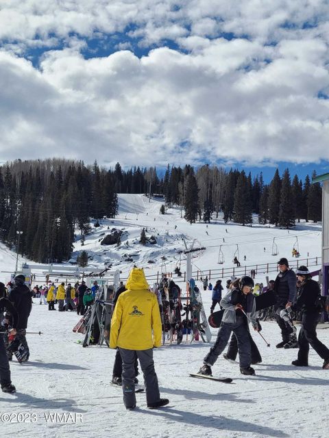 Tiny photo for 3344 Woodpecker Lane, Pinetop, AZ 85935 (MLS # 258495)