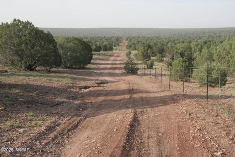 Photo of 2529 Lone Star Road, Show Low, AZ 85901 (MLS # 258930)