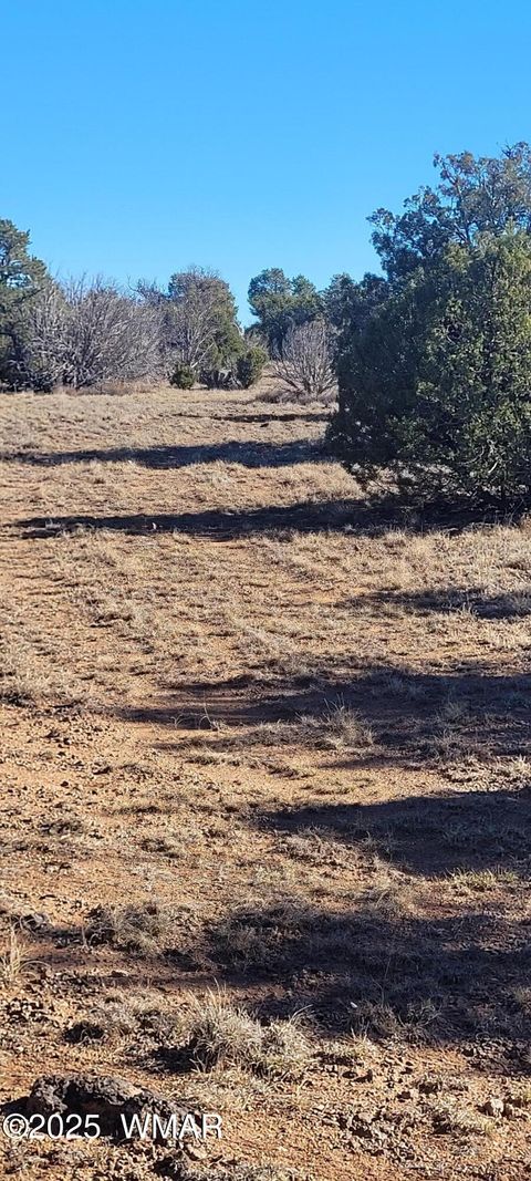Tiny photo for 2529 Lone Star Road, Show Low, AZ 85901 (MLS # 258930)