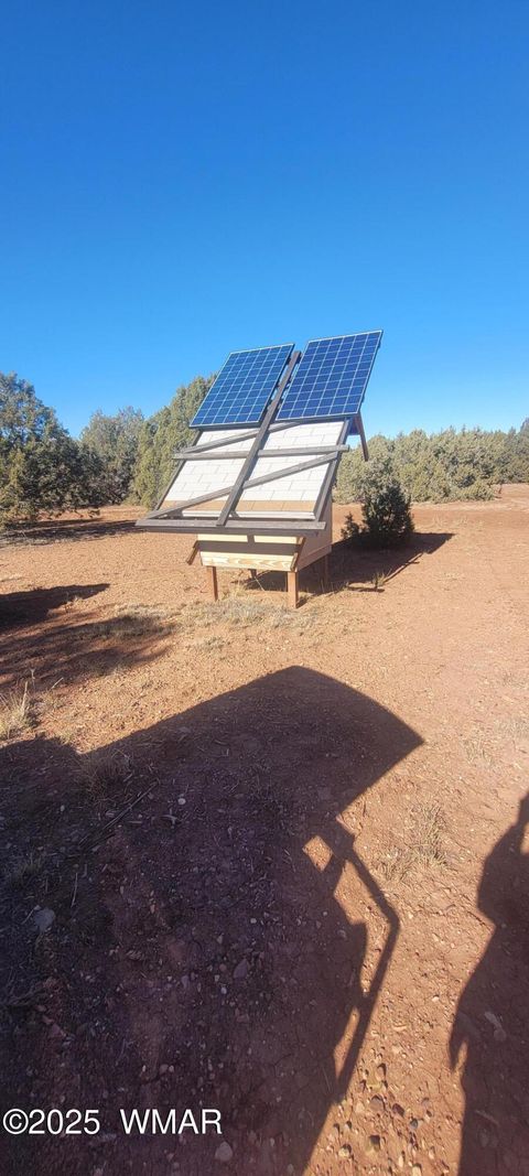 Tiny photo for 2529 Lone Star Road, Show Low, AZ 85901 (MLS # 258930)
