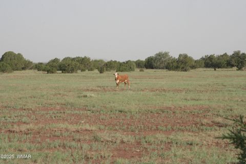 Tiny photo for 2529 Lone Star Road, Show Low, AZ 85901 (MLS # 258930)