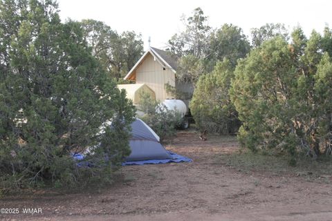 Tiny photo for 2529 Lone Star Road, Show Low, AZ 85901 (MLS # 258930)