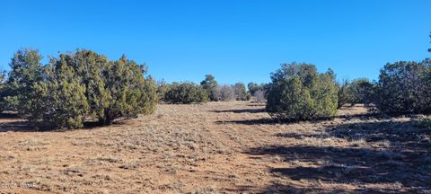 Tiny photo for 2529 Lone Star Road, Show Low, AZ 85901 (MLS # 258930)