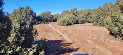 Tiny photo for 2529 Lone Star Road, Show Low, AZ 85901 (MLS # 258930)