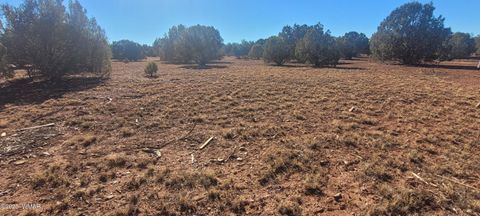 Tiny photo for 2529 Lone Star Road, Show Low, AZ 85901 (MLS # 258930)