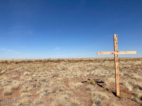 Tiny photo for 7608 Pinto Street, Holbrook, AZ 86025 (MLS # 259058)