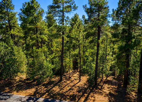 Tiny photo for 688 Pine Creek Drive, Lakeside, AZ 85929 (MLS # 262054)