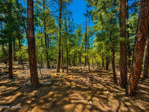 Tiny photo for 688 Pine Creek Drive, Lakeside, AZ 85929 (MLS # 262054)