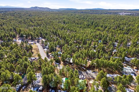 Tiny photo for 351 W Yeager Lane, Lakeside, AZ 85929 (MLS # 259354)