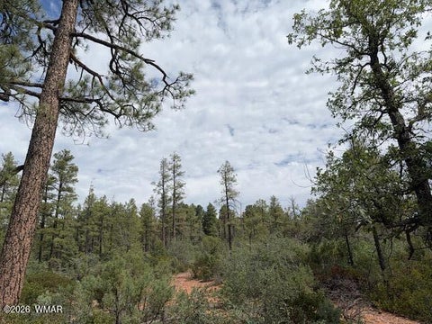 Tiny photo for 3352 Pine Needle Drive, Show Low, AZ 85901 (MLS # 262670)