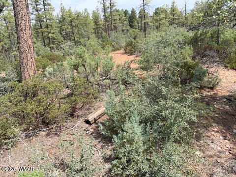Tiny photo for 3352 Pine Needle Drive, Show Low, AZ 85901 (MLS # 262670)
