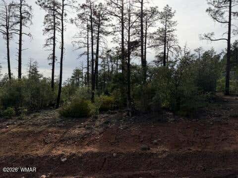 Photo of 3352 Pine Needle Drive, Show Low, AZ 85901 (MLS # 262670)