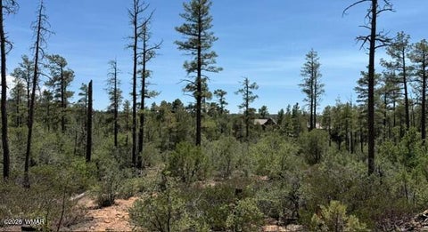 Tiny photo for 3352 Pine Needle Drive, Show Low, AZ 85901 (MLS # 262670)