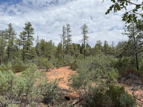 Tiny photo for 3352 Pine Needle Drive, Show Low, AZ 85901 (MLS # 262670)