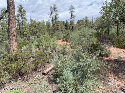 Tiny photo for 3352 Pine Needle Drive, Show Low, AZ 85901 (MLS # 262670)