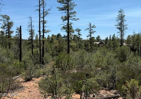 Tiny photo for 3352 Pine Needle Drive, Show Low, AZ 85901 (MLS # 262670)