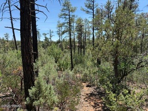 Tiny photo for 3352 Pine Needle Drive, Show Low, AZ 85901 (MLS # 262670)
