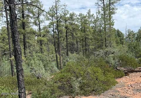 Photo of 3352 Pine Needle Drive, Show Low, AZ 85901 (MLS # 262670)