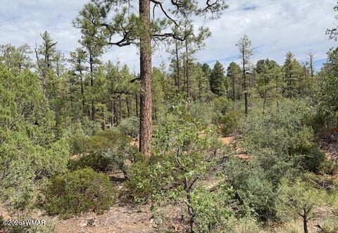 Tiny photo for 3352 Pine Needle Drive, Show Low, AZ 85901 (MLS # 262670)