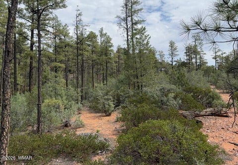 Tiny photo for 3352 Pine Needle Drive, Show Low, AZ 85901 (MLS # 262670)