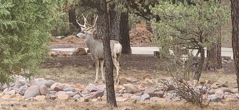 Tiny photo for 3408 Ponderosa Loop, Heber, AZ 85928 (MLS # 260239)